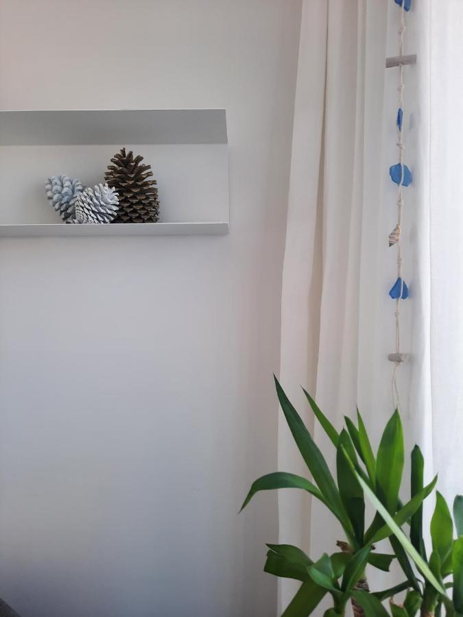 Sitius 5B - New Seaview Apartment With Rooftop Terrace In Historical Centre Sitio Da Nazare Exterior photo