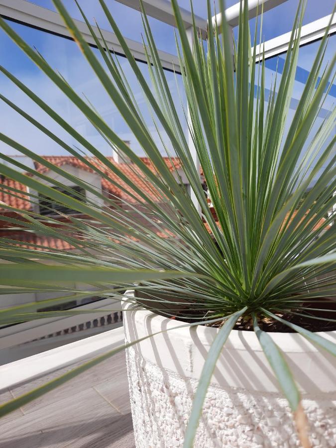 Sitius 5B - New Seaview Apartment With Rooftop Terrace In Historical Centre Sitio Da Nazare Exterior photo